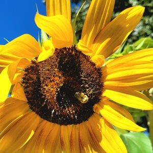 JUNE BABY DISCOUNTS!! 1 MORE WEEK!!